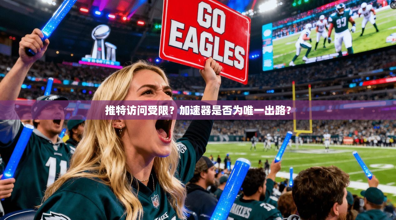 推特访问受限？加速器是否为唯一出路？