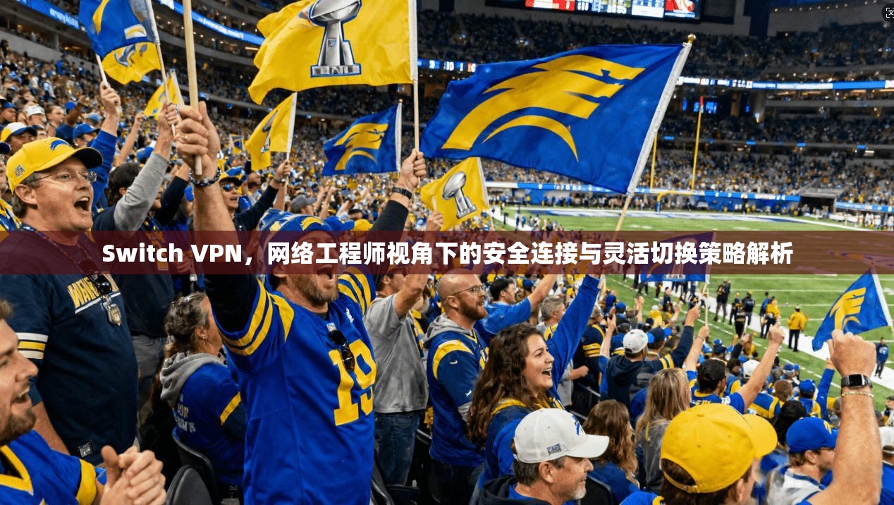 Switch VPN，网络工程师视角下的安全连接与灵活切换策略解析