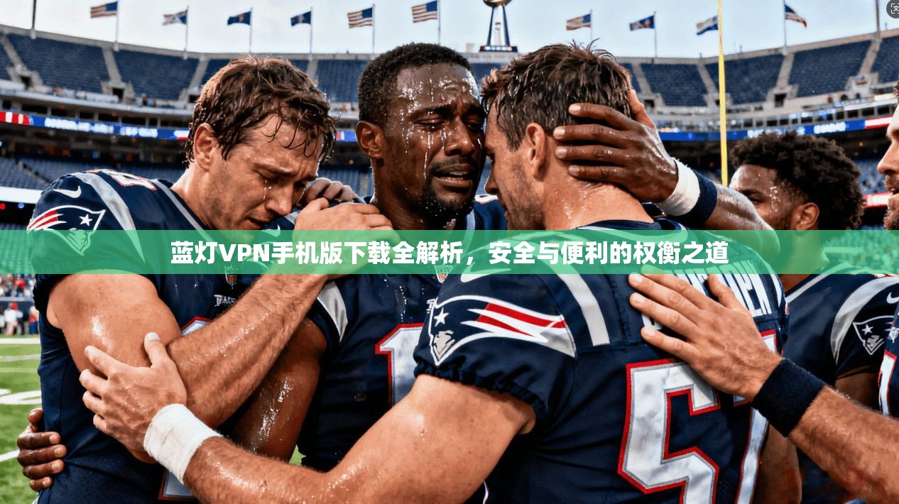 蓝灯VPN手机版下载全解析，安全与便利的权衡之道