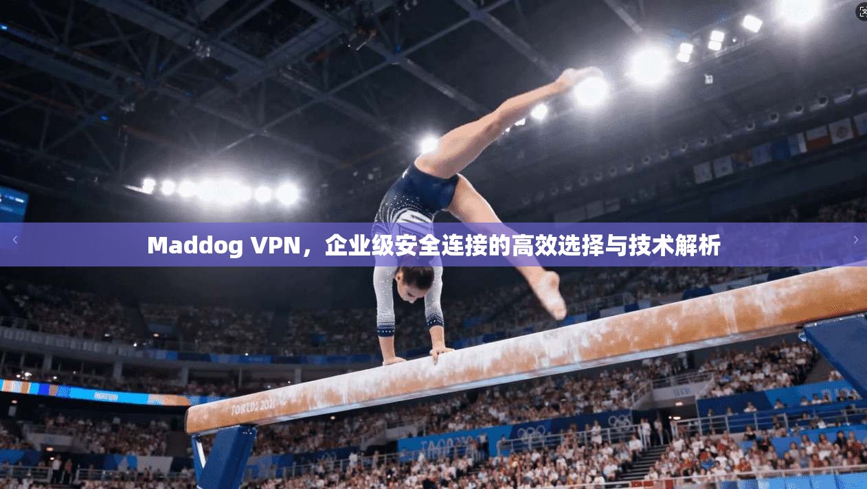 Maddog VPN，企业级安全连接的高效选择与技术解析