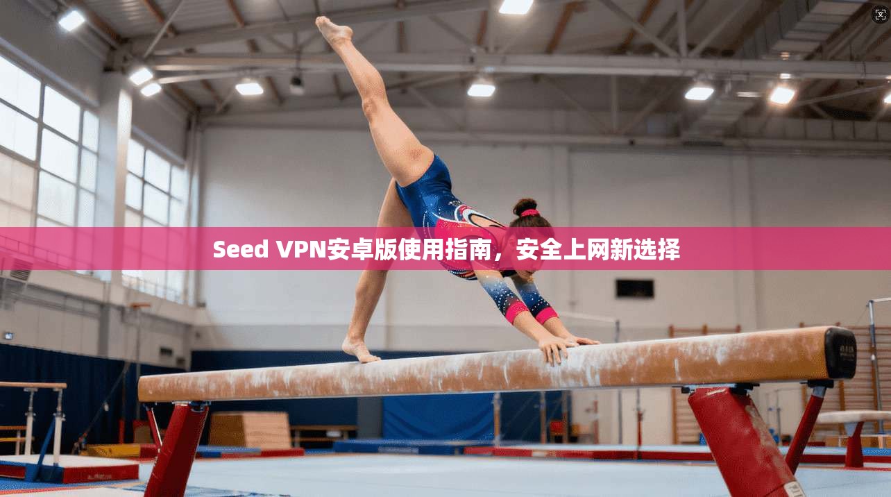 Seed VPN安卓版使用指南，安全上网新选择