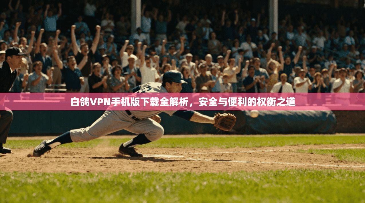 白鸽VPN手机版下载全解析，安全与便利的权衡之道