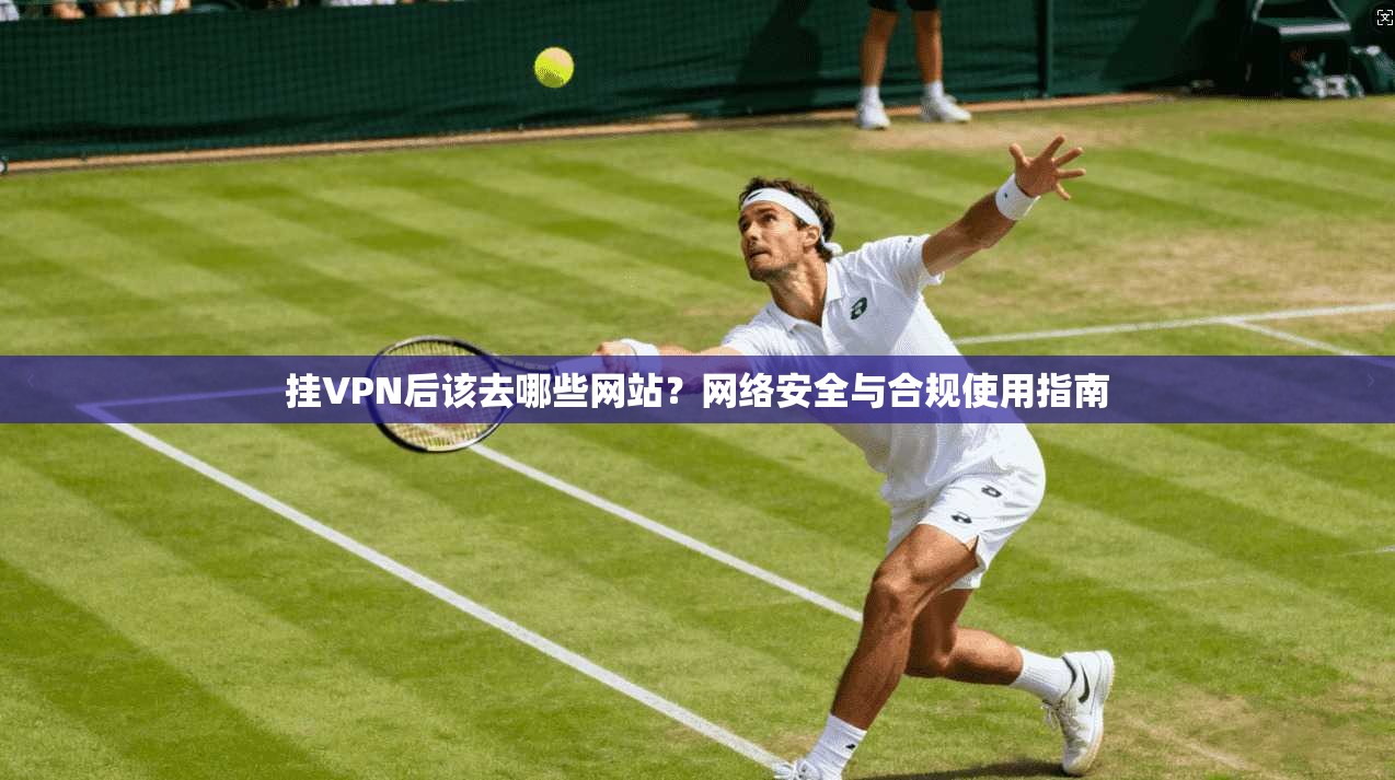 挂VPN后该去哪些网站？网络安全与合规使用指南