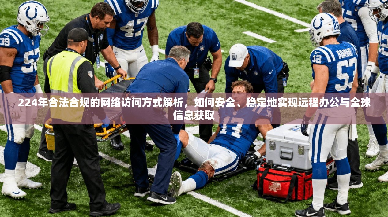 224年合法合规的网络访问方式解析，如何安全、稳定地实现远程办公与全球信息获取