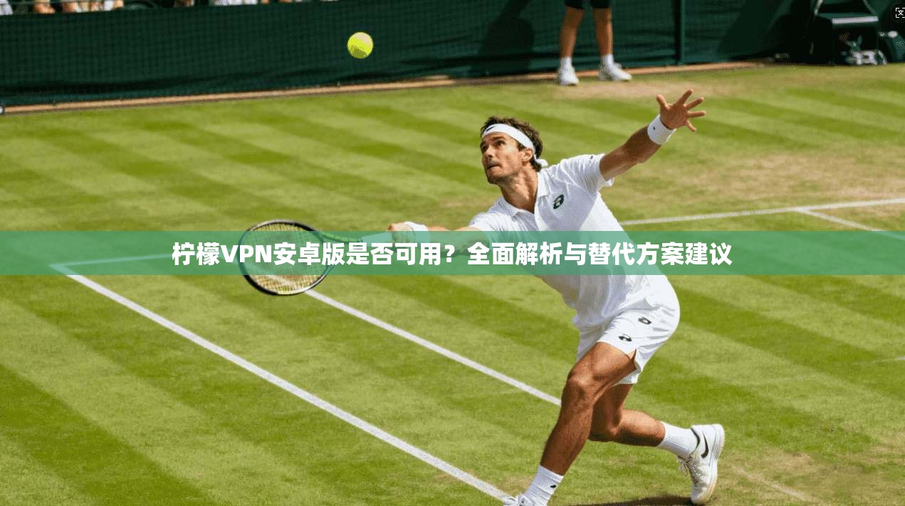 柠檬VPN安卓版是否可用？全面解析与替代方案建议