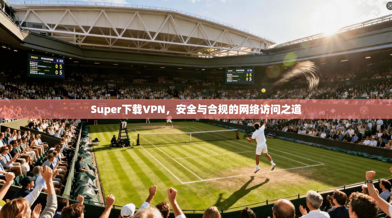 Super下载VPN，安全与合规的网络访问之道