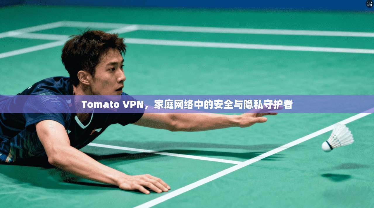 Tomato VPN，家庭网络中的安全与隐私守护者