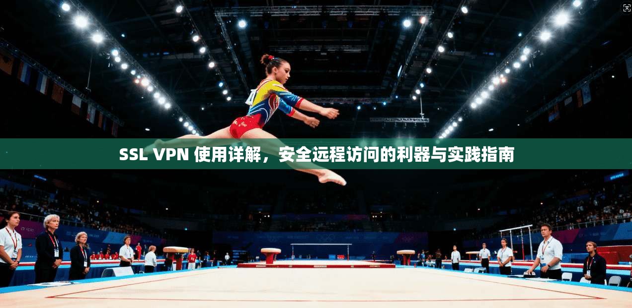 SSL VPN 使用详解，安全远程访问的利器与实践指南
