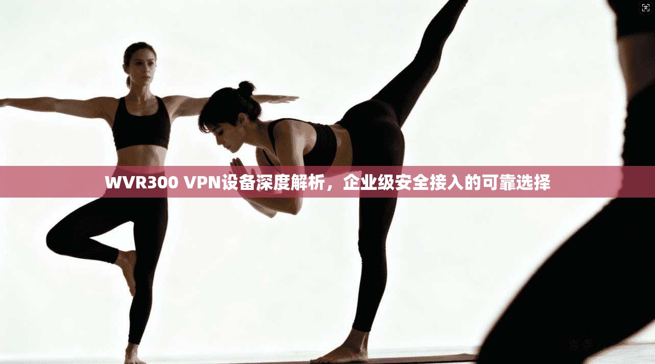 WVR300 VPN设备深度解析，企业级安全接入的可靠选择