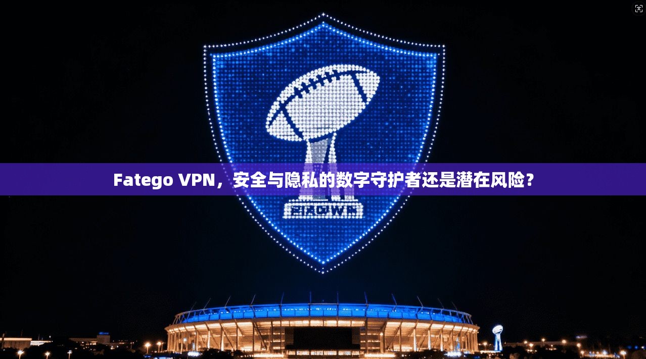 Fatego VPN，安全与隐私的数字守护者还是潜在风险？