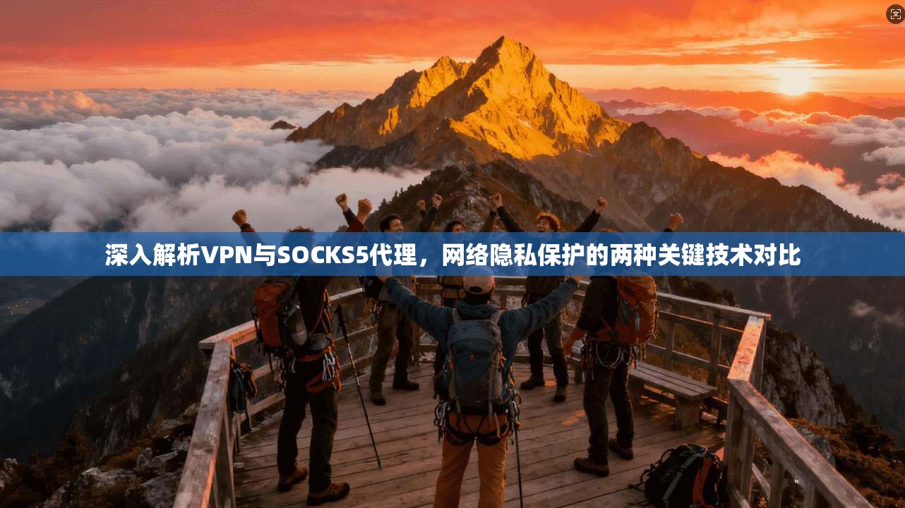 深入解析VPN与SOCKS5代理，网络隐私保护的两种关键技术对比