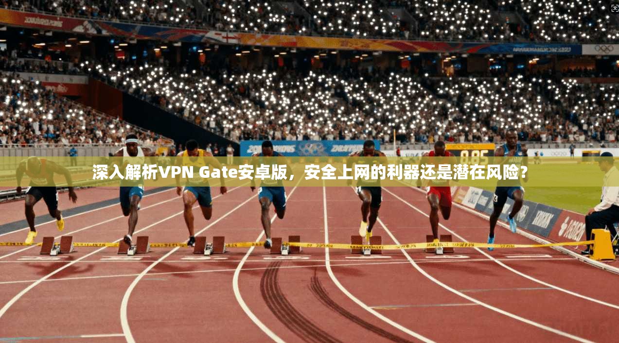 深入解析VPN Gate安卓版，安全上网的利器还是潜在风险？
