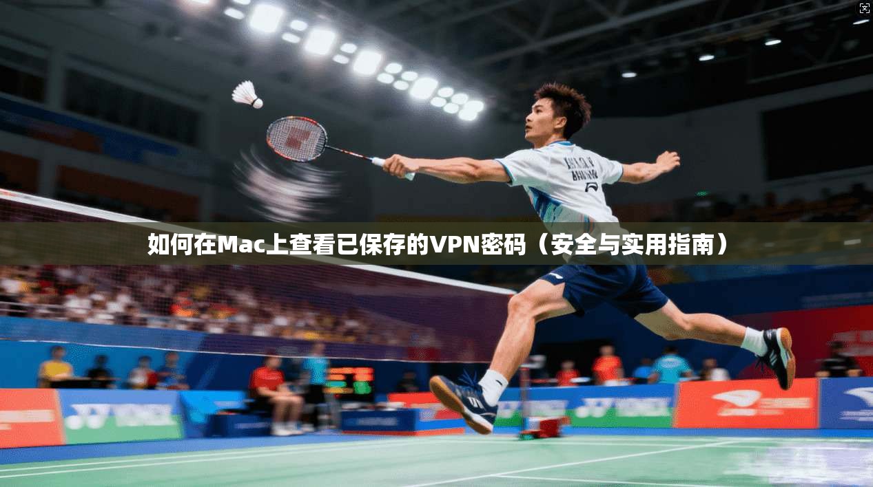 如何在Mac上查看已保存的VPN密码（安全与实用指南）