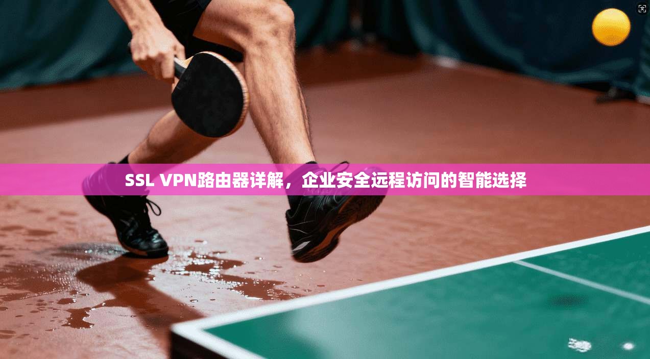 SSL VPN路由器详解，企业安全远程访问的智能选择