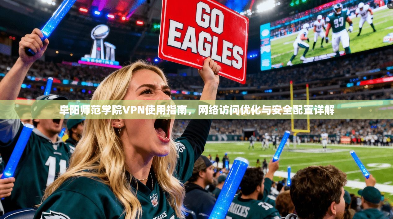阜阳师范学院VPN使用指南，网络访问优化与安全配置详解