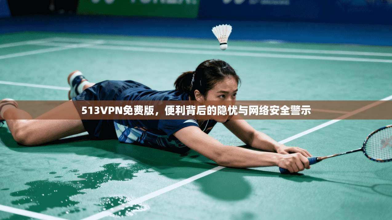 513VPN免费版，便利背后的隐忧与网络安全警示