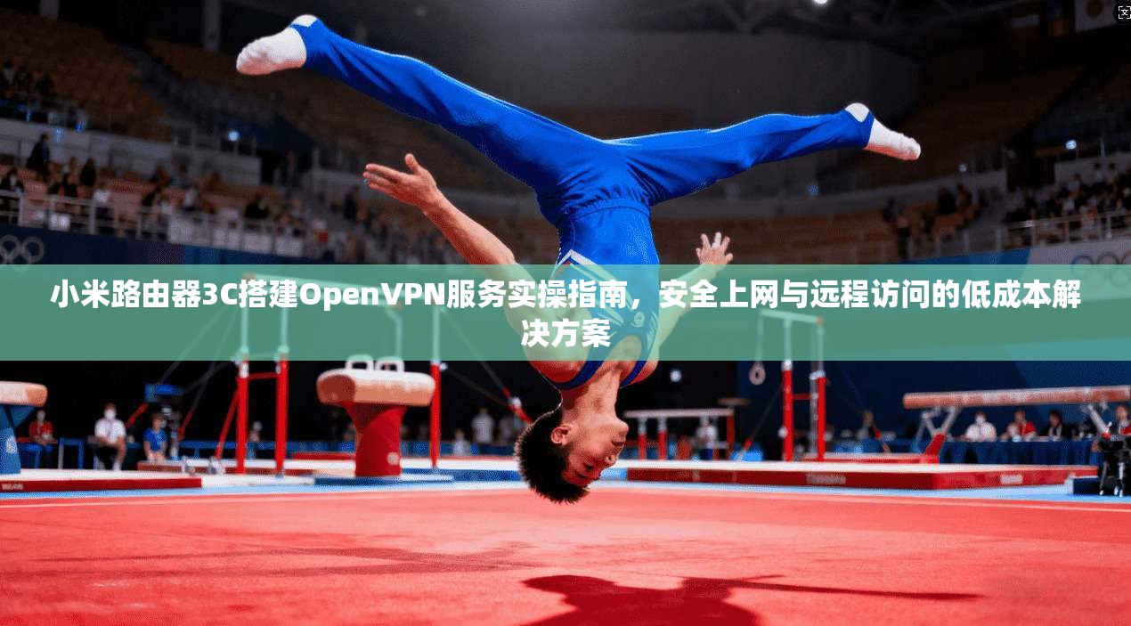 小米路由器3C搭建OpenVPN服务实操指南，安全上网与远程访问的低成本解决方案
