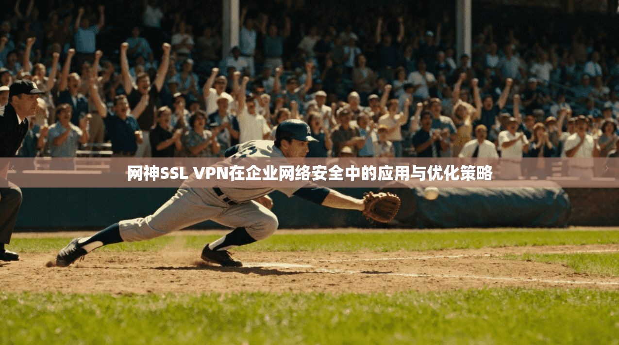 网神SSL VPN在企业网络安全中的应用与优化策略