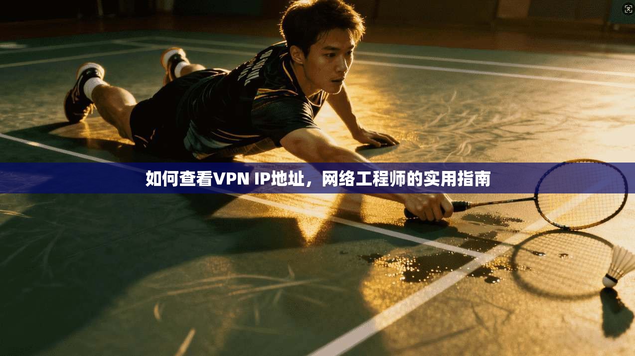 如何查看VPN IP地址，网络工程师的实用指南