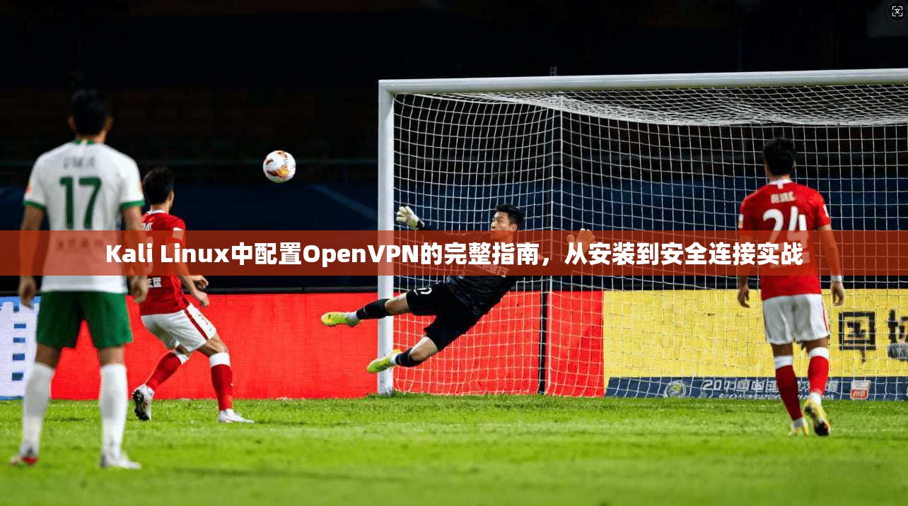 Kali Linux中配置OpenVPN的完整指南，从安装到安全连接实战