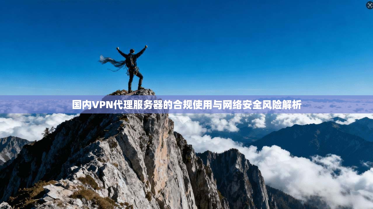 国内VPN代理服务器的合规使用与网络安全风险解析