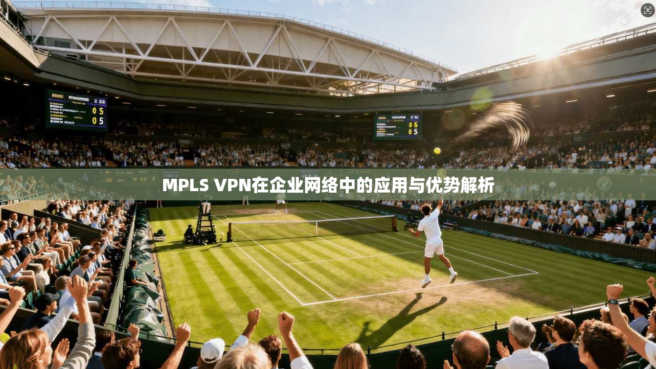MPLS VPN在企业网络中的应用与优势解析
