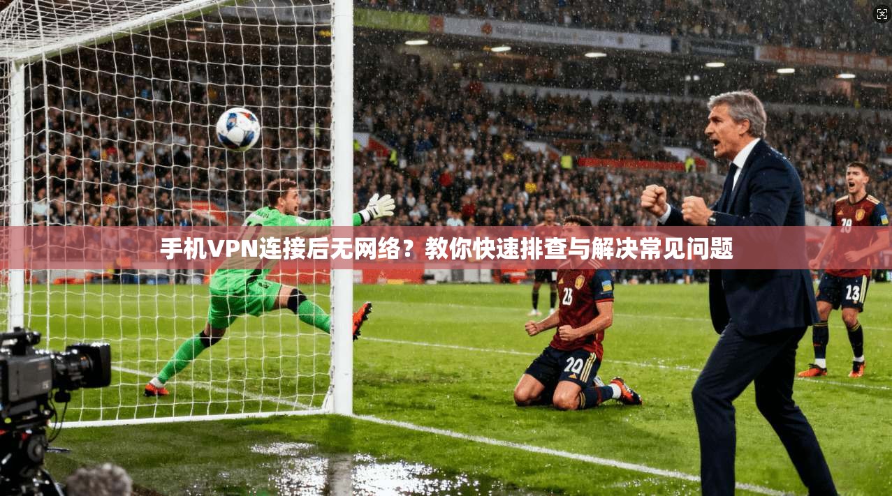 手机VPN连接后无网络？教你快速排查与解决常见问题