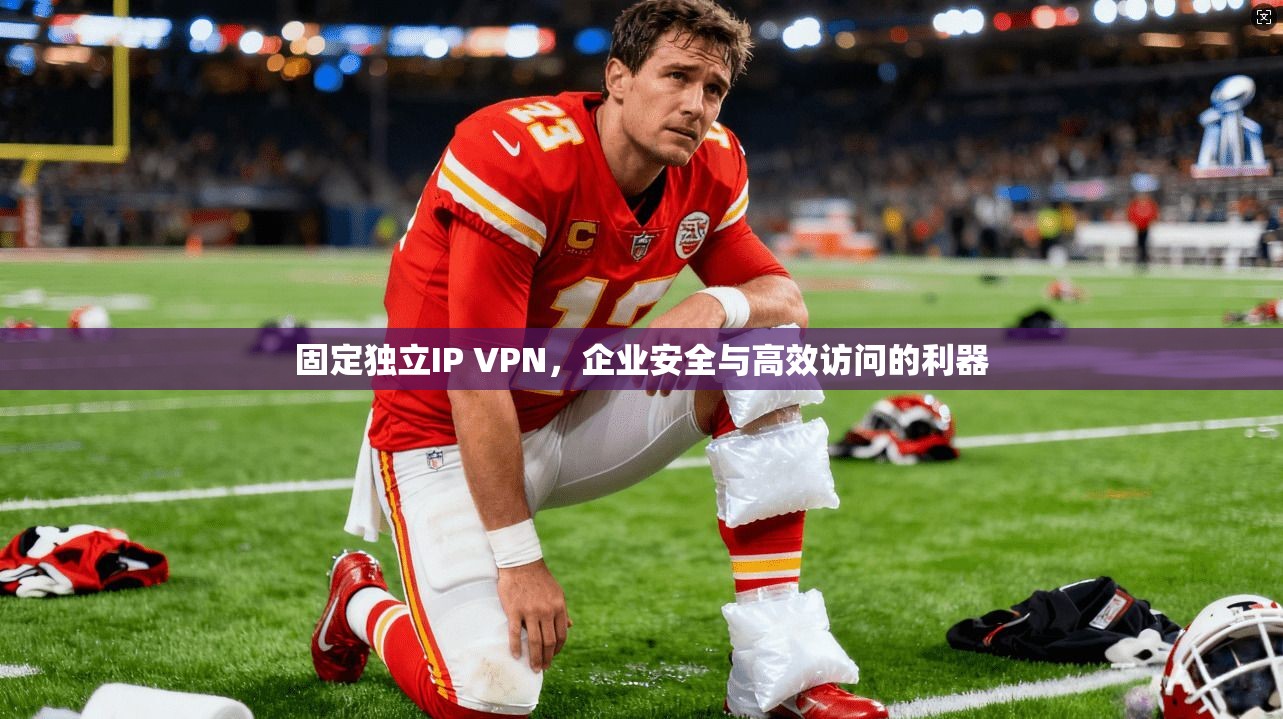 固定独立IP VPN，企业安全与高效访问的利器