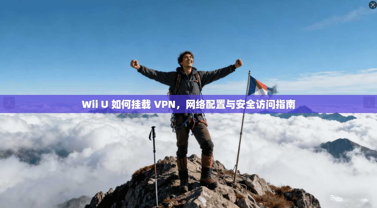 Wii U 如何挂载 VPN，网络配置与安全访问指南