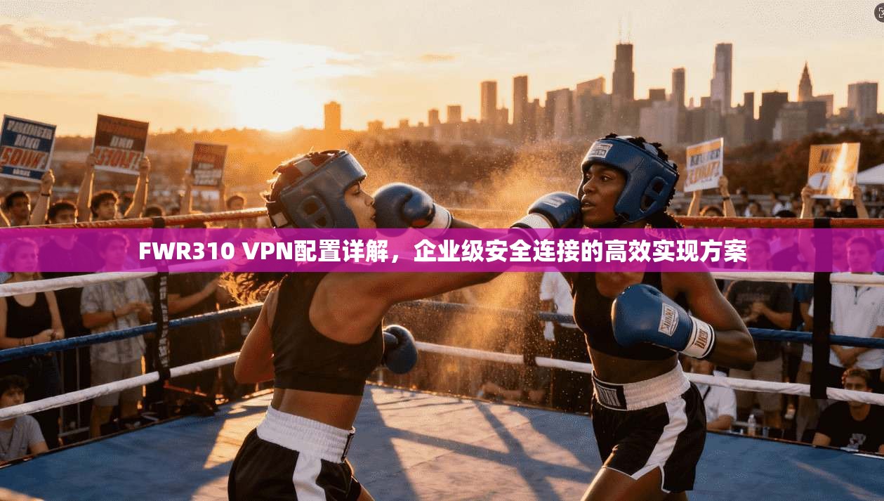 FWR310 VPN配置详解，企业级安全连接的高效实现方案