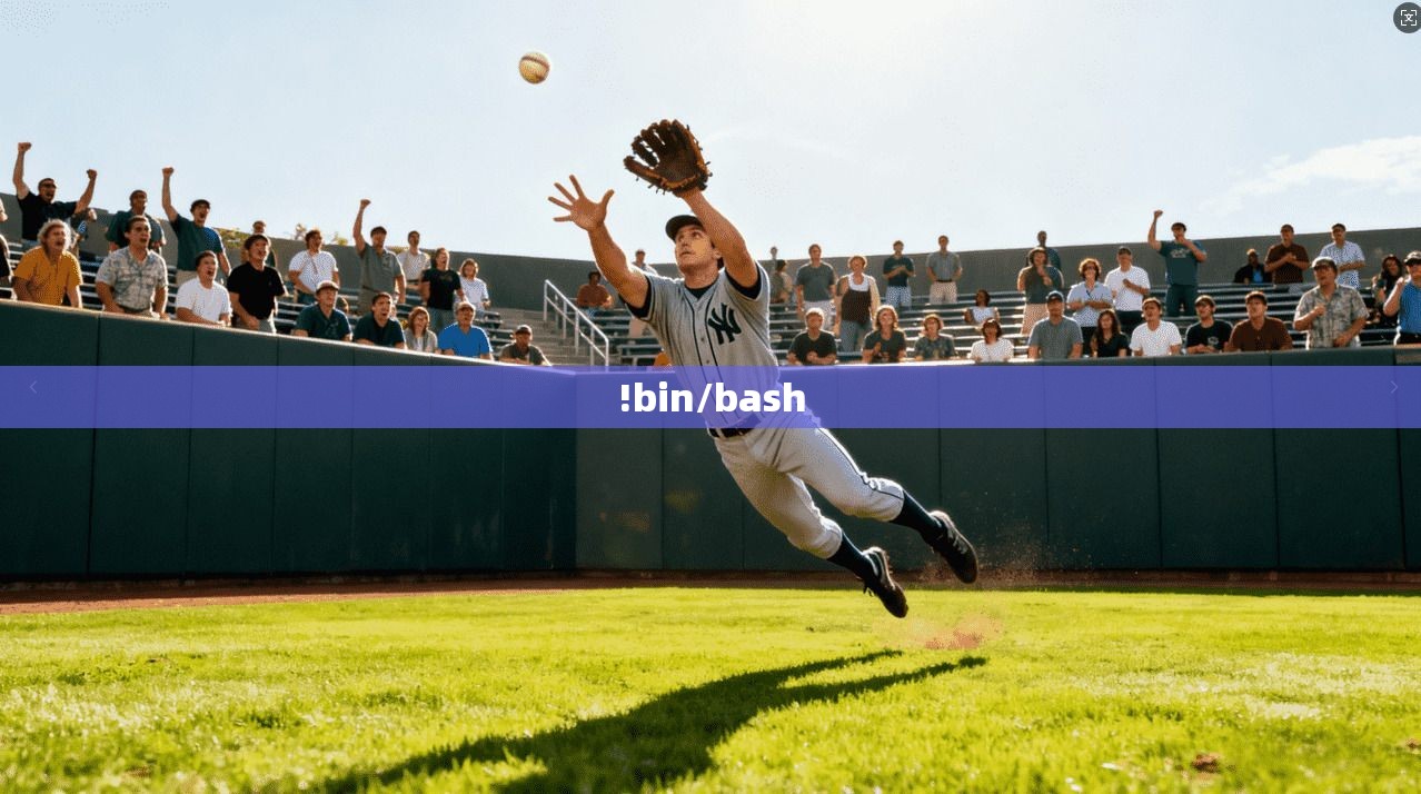 !bin/bash