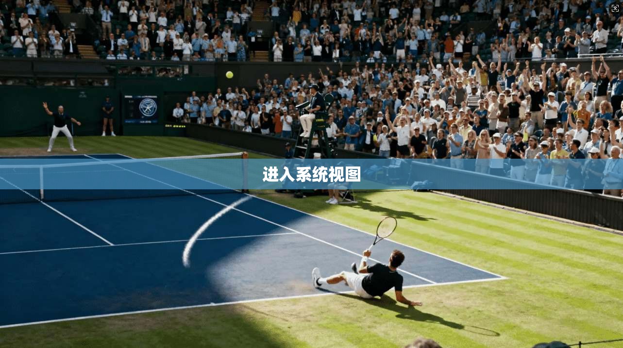 进入系统视图