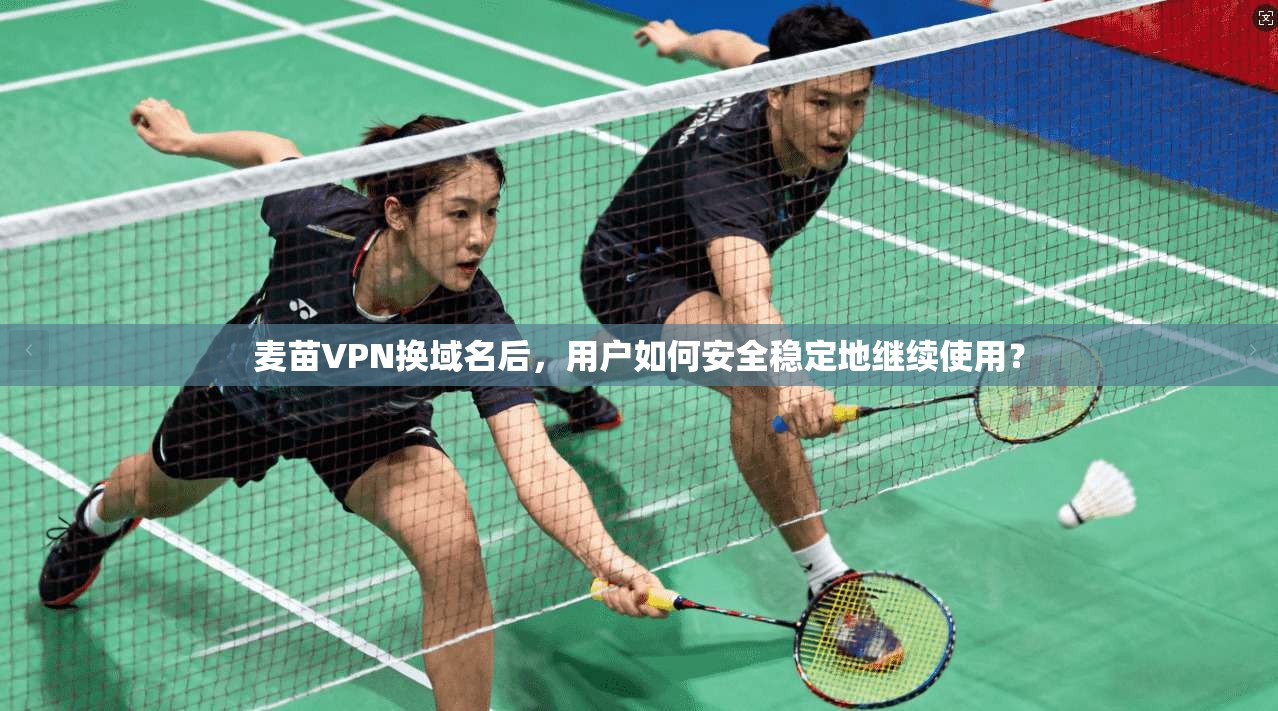 麦苗VPN换域名后，用户如何安全稳定地继续使用？