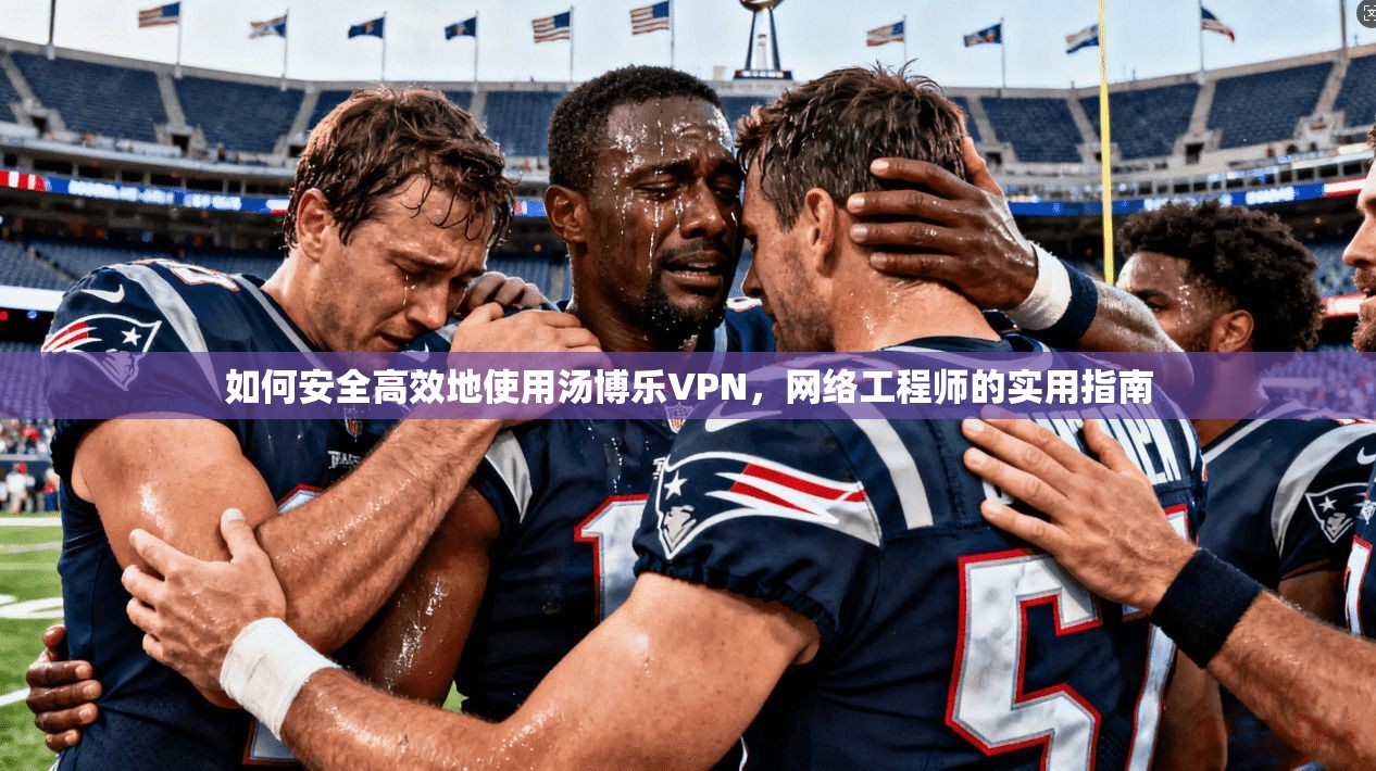 如何安全高效地使用汤博乐VPN，网络工程师的实用指南