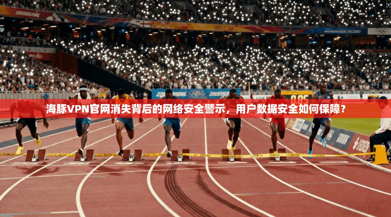 海豚VPN官网消失背后的网络安全警示，用户数据安全如何保障？