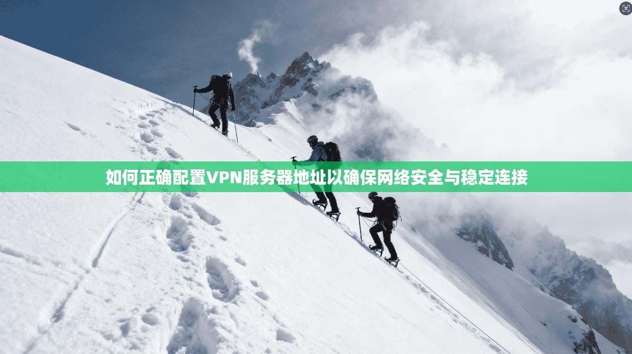 如何正确配置VPN服务器地址以确保网络安全与稳定连接