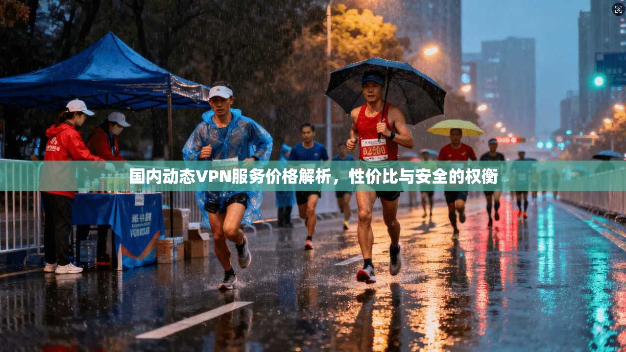 国内动态VPN服务价格解析，性价比与安全的权衡