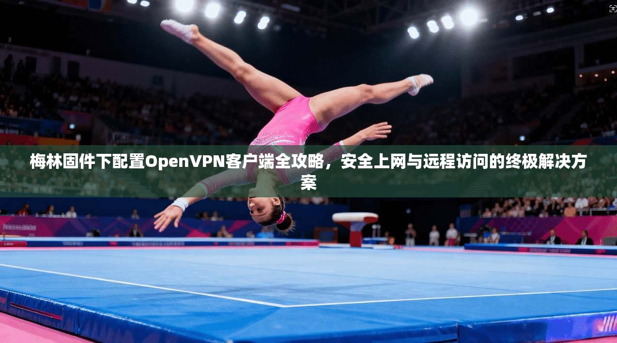 梅林固件下配置OpenVPN客户端全攻略，安全上网与远程访问的终极解决方案