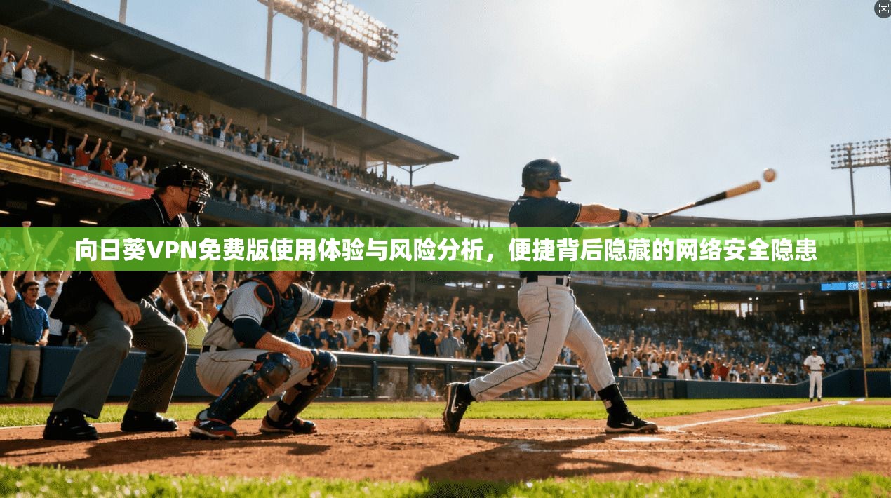 向日葵VPN免费版使用体验与风险分析，便捷背后隐藏的网络安全隐患