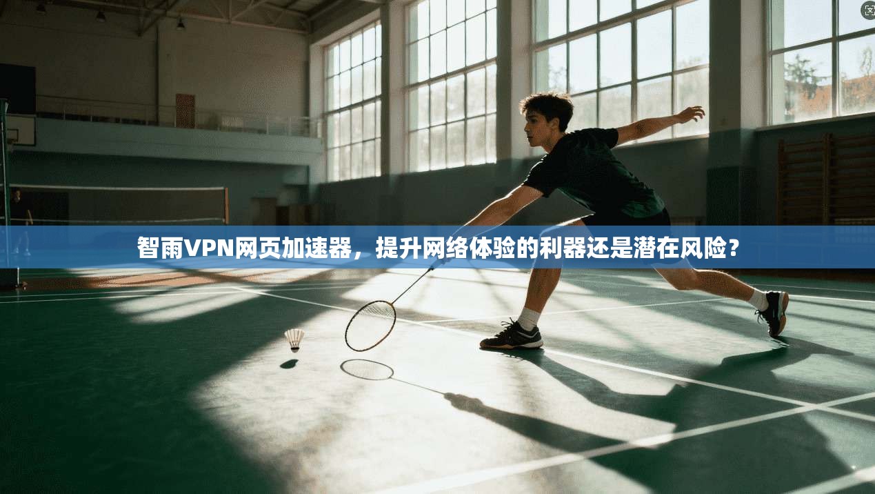 智雨VPN网页加速器，提升网络体验的利器还是潜在风险？