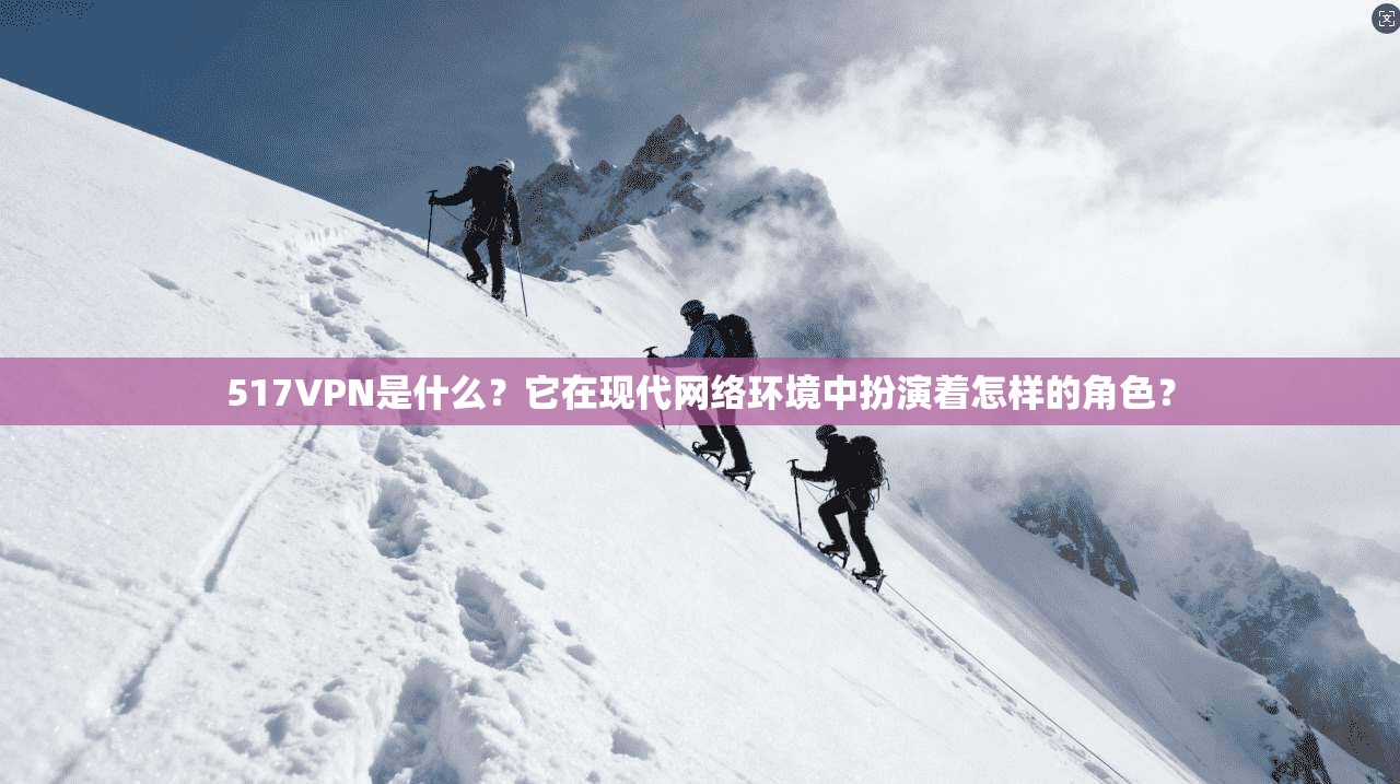 517VPN是什么？它在现代网络环境中扮演着怎样的角色？