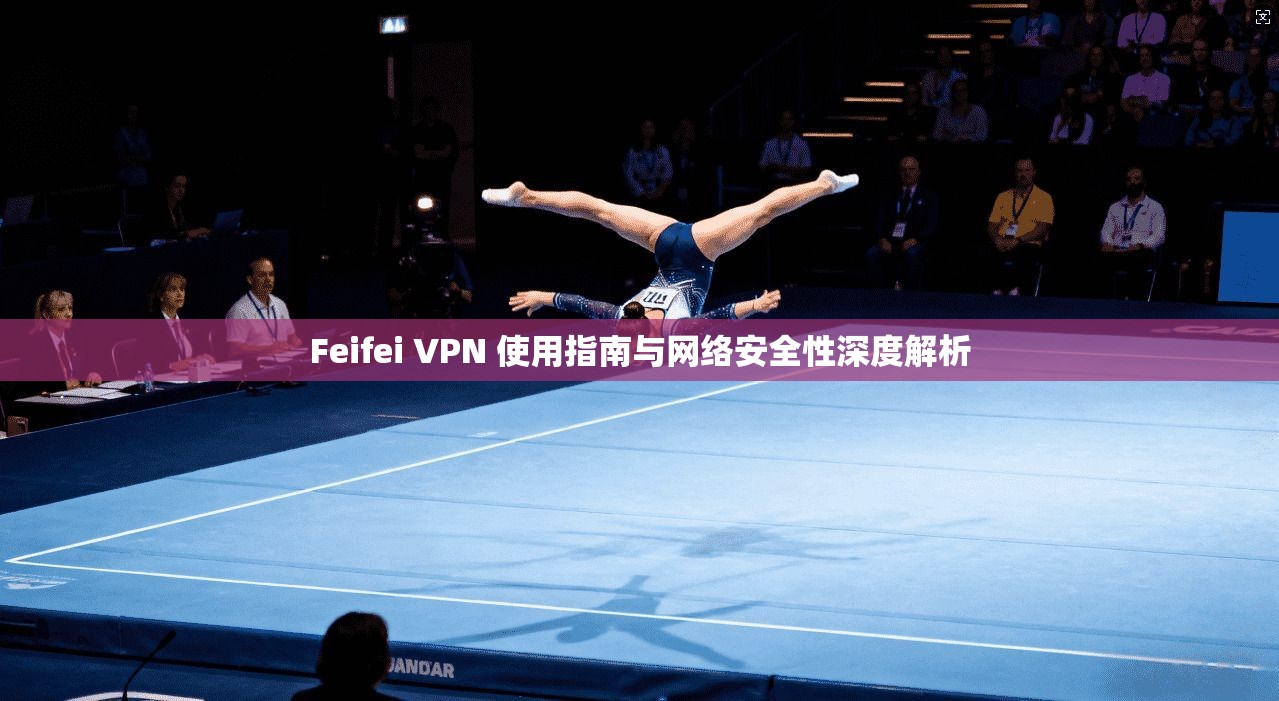 Feifei VPN 使用指南与网络安全性深度解析