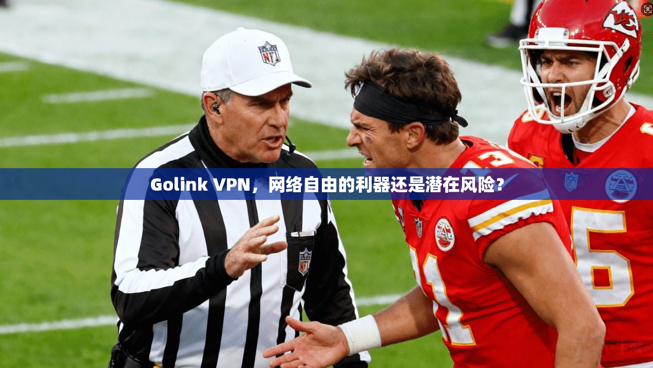 Golink VPN，网络自由的利器还是潜在风险？