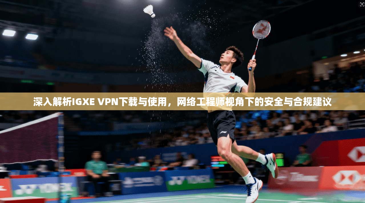 深入解析IGXE VPN下载与使用，网络工程师视角下的安全与合规建议