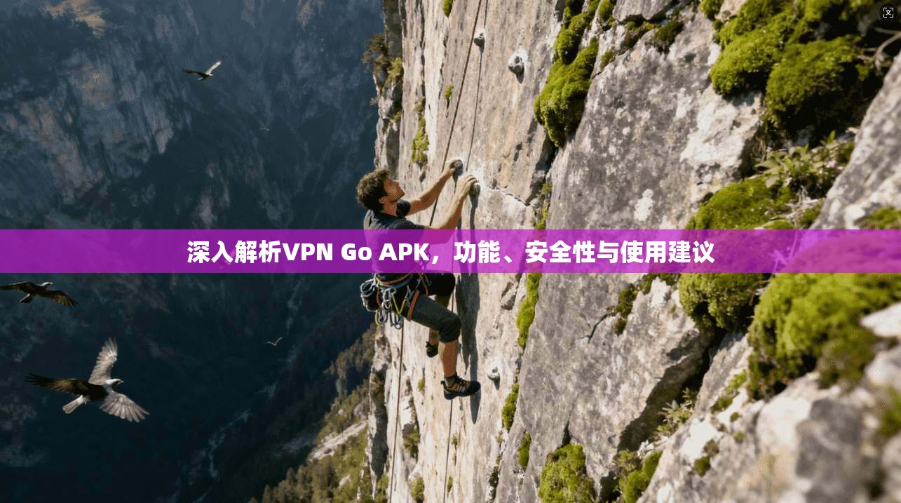 深入解析VPN Go APK，功能、安全性与使用建议