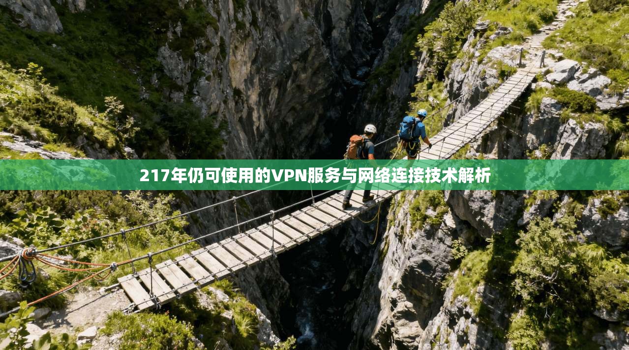 217年仍可使用的VPN服务与网络连接技术解析