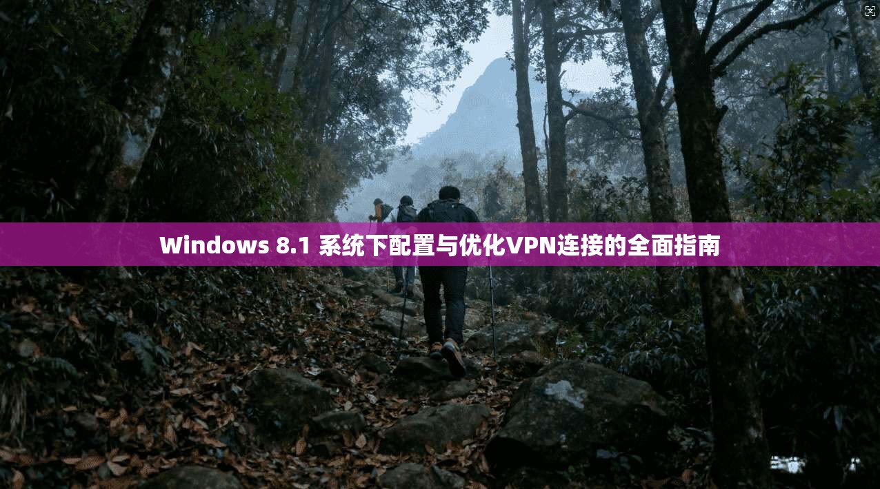 Windows 8.1 系统下配置与优化VPN连接的全面指南