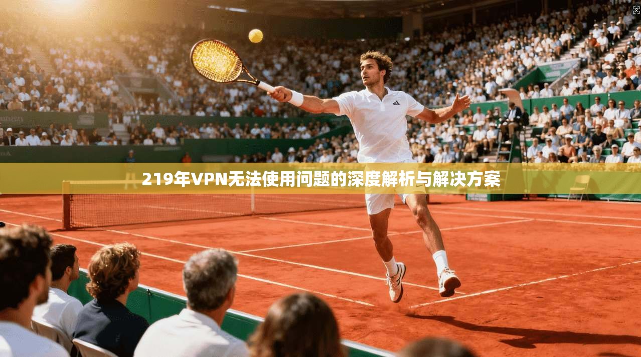 219年VPN无法使用问题的深度解析与解决方案