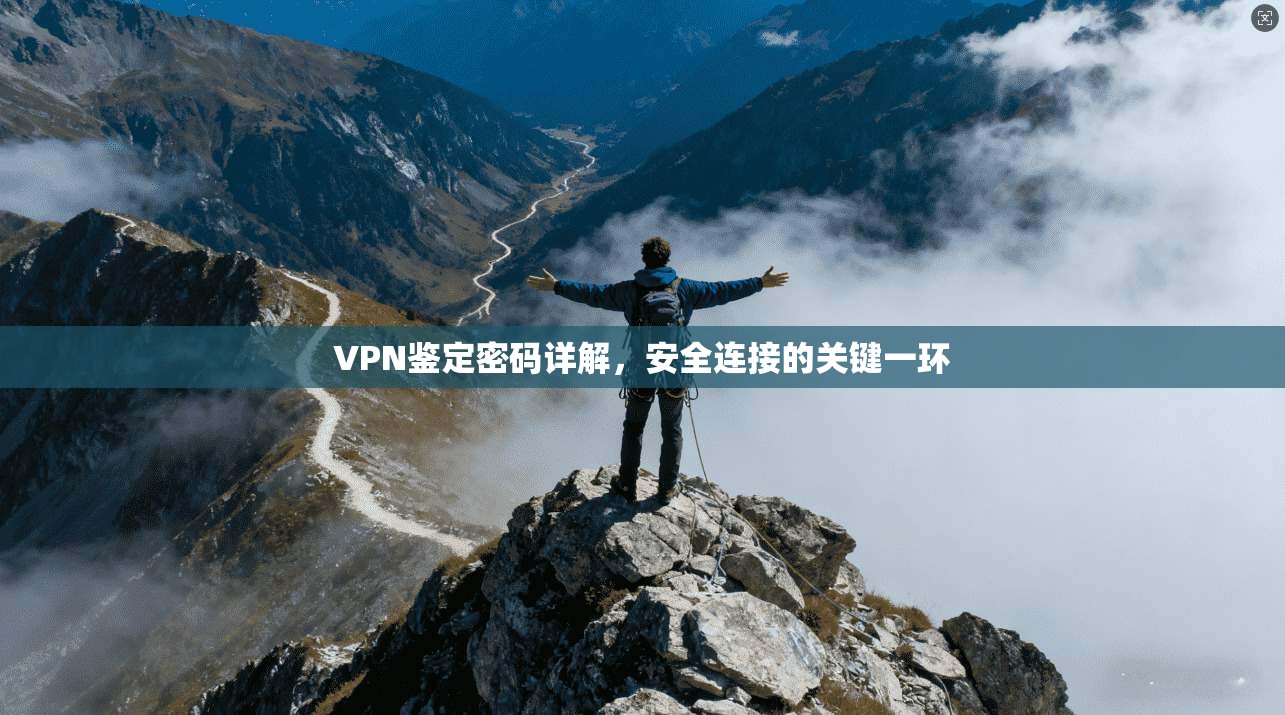 VPN鉴定密码详解，安全连接的关键一环