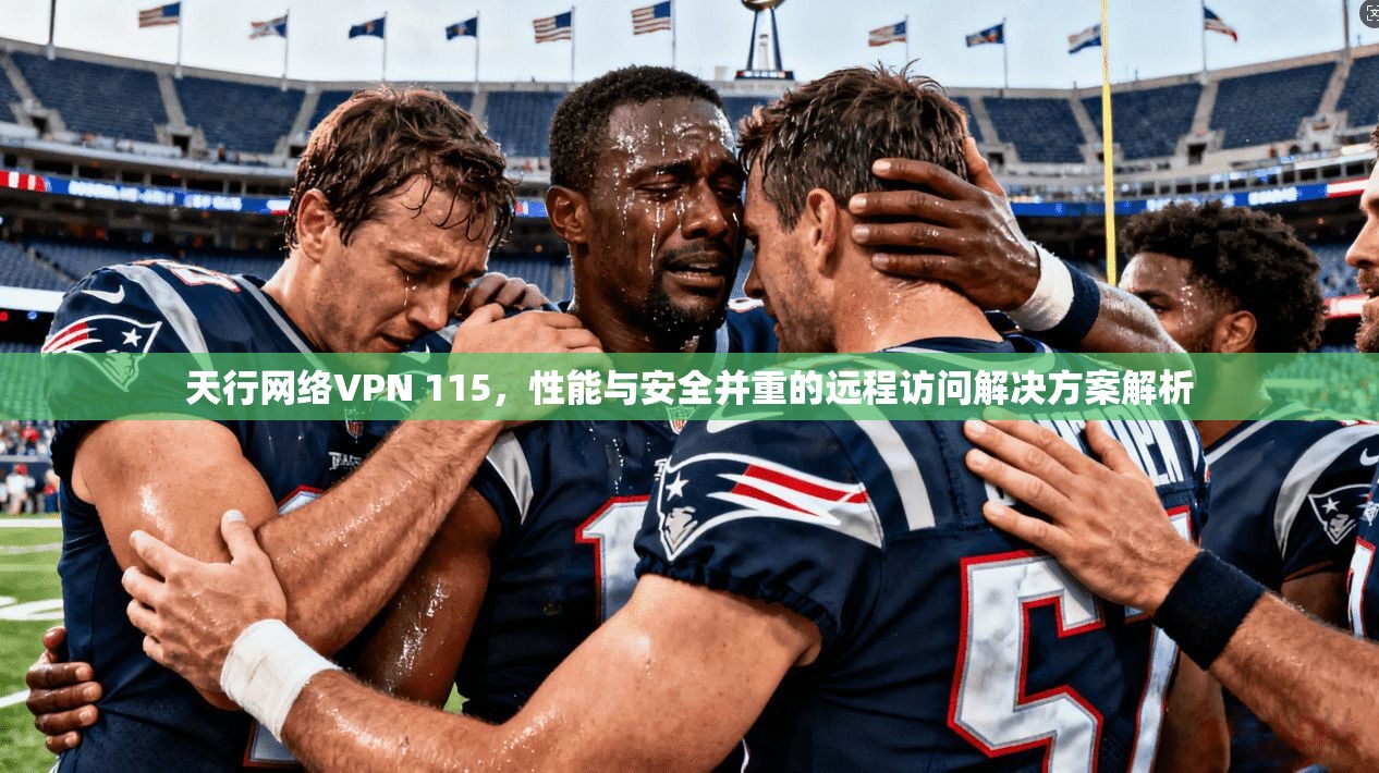 天行网络VPN 115，性能与安全并重的远程访问解决方案解析